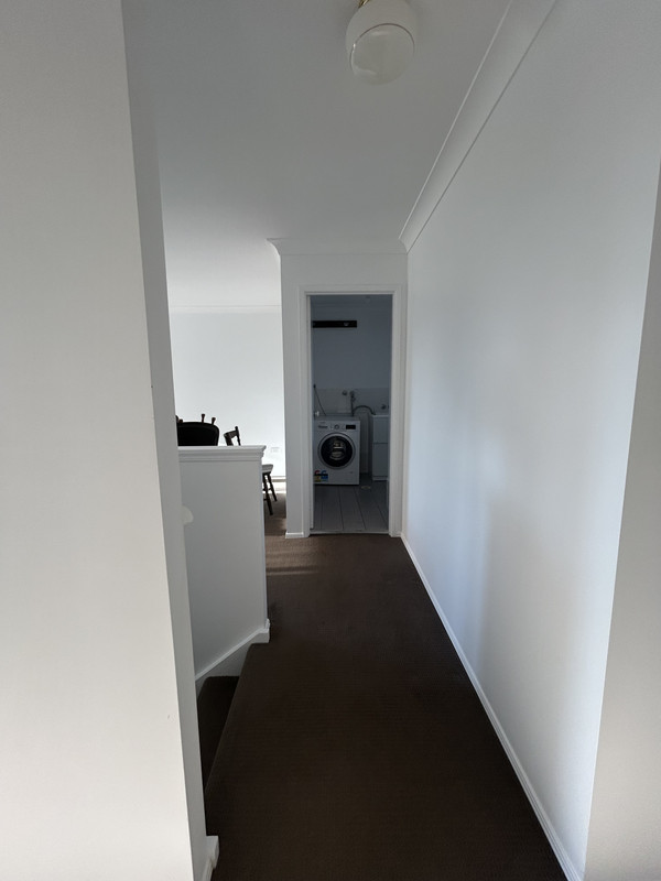 Interior feature wall painted by Munn & Co. Finishes on the Gold Coast